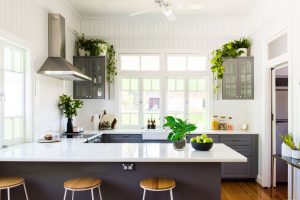 Money plant in Kitchen